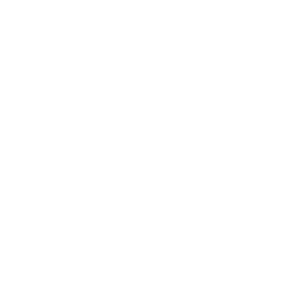 Usuario